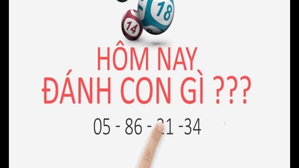 Bí quyết đánh đề & lô đề: Chiến thắng cùng QH88